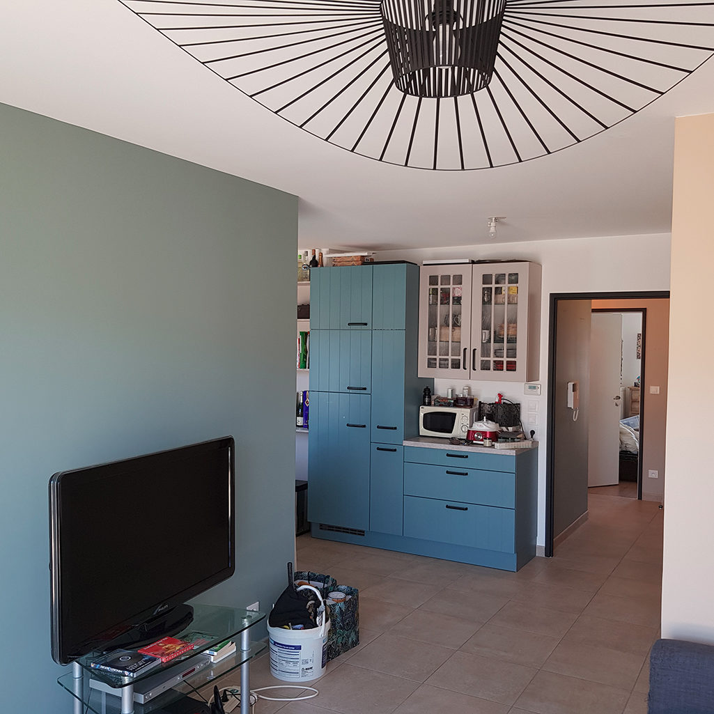 Conception d'un meuble de salon et mise en peinture des murs de l'appartement | St Julien-en-Genevois, 74 cadre radis noir • Damien Jore